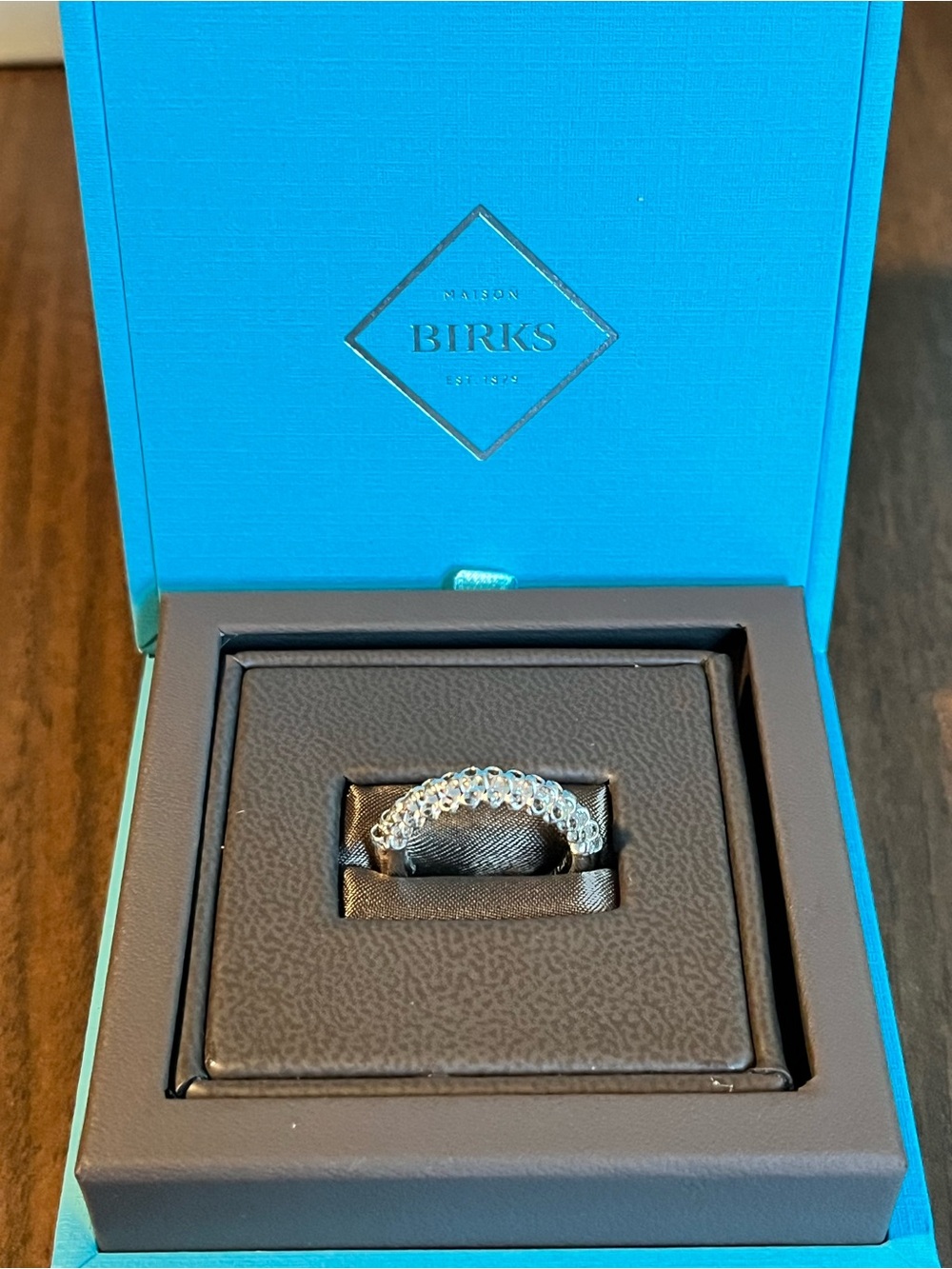 DiModolo Eternity Ring in Sterling Silver and Rhodium Plates - Icona Design